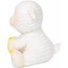 Baby Music Plush Toy